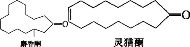 香水的香氣從何而來(lái)？