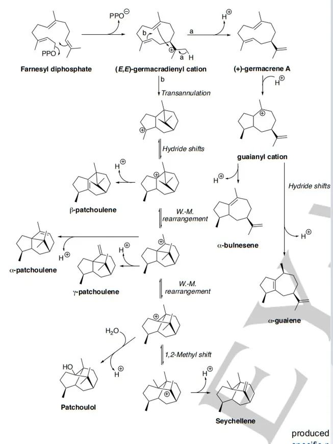 生物合成香料的化學組成、可持續(xù)性和天然性