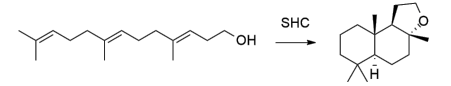 生物合成香料的化學(xué)組成、可持續(xù)性和天然性