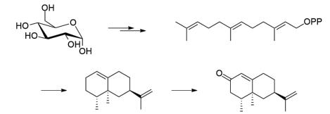 生物合成香料的化學(xué)組成、可持續(xù)性和天然性