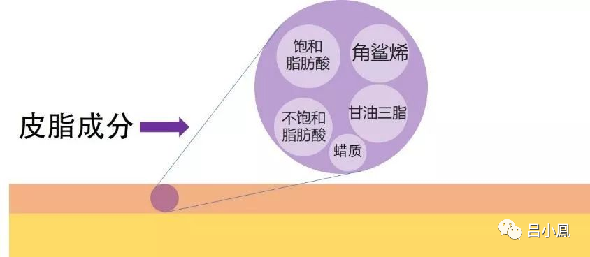 2022年護膚熱門功效成分有哪些？