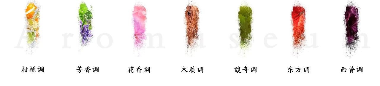 為什么有人一身果香，有人卻一身藿香？